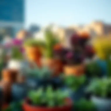 A vibrant urban garden with assorted planters