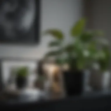Essential Care Tips for Maintaining Black Pots and Plants Close-up of a black pot with care tips displayed
