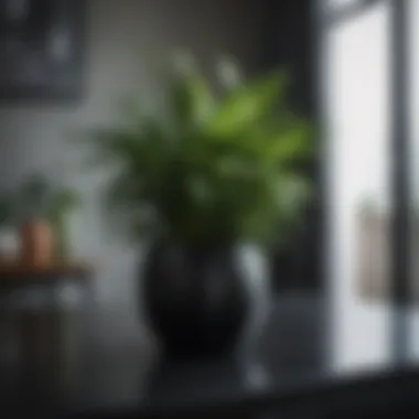 The Charm of Black Ceramic Pots in Modern Interiors Elegant black ceramic pot with lush green plant