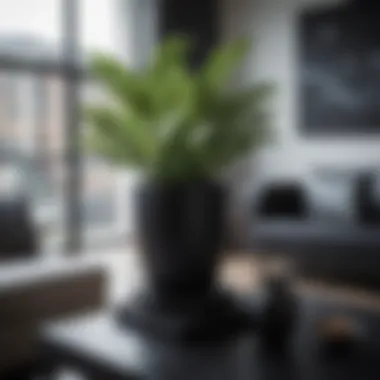 Integrating Black Pots into Urban Living Spaces Stylish black pot in a contemporary living room setting
