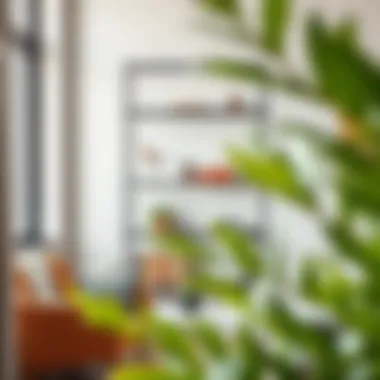 Customized Boaxel wire shelf arrangement in a contemporary home