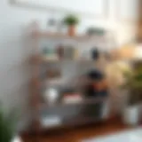 Elegant Boaxel wire shelf showcasing modern interior design elements