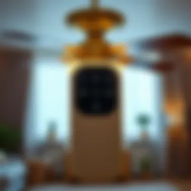 Remote control for a ceiling fan showcasing its features