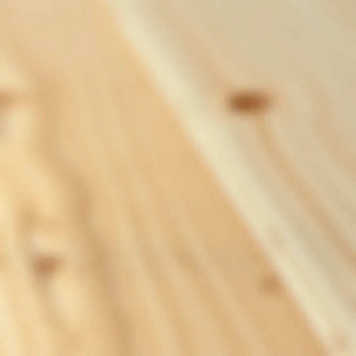 Close-up of birch wood grain illustrating its natural beauty and strength
