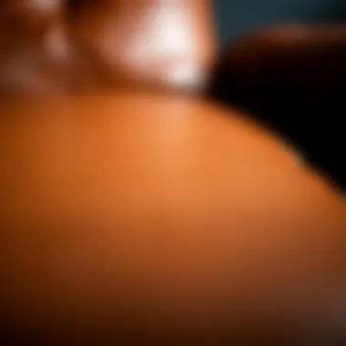 High-Quality Leather Material Close-up of high-quality leather material used for loveseat covers