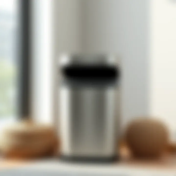 Compact dual trash can perfect for small urban spaces