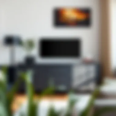 Elegant Black Chest of Drawers in Modern Living Room Elegant black chest of drawers in a modern living room