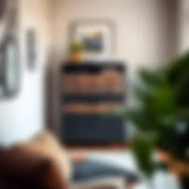 Functional Black and Brown Chest of Drawers Optimizing Urban Space Functional black and brown chest of drawers optimizing urban space