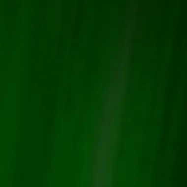 Close-up of luxurious green velvet texture