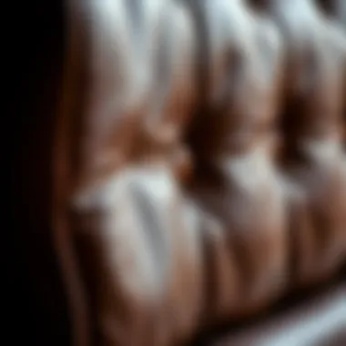 Premium Leather Texture Close-up of high-quality leather texture on a bed frame