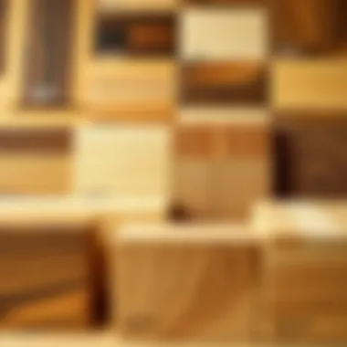 Assorted wood types displayed to highlight the variety for butcher block surfaces