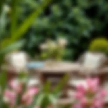 Chic rattan table without cushions surrounded by greenery