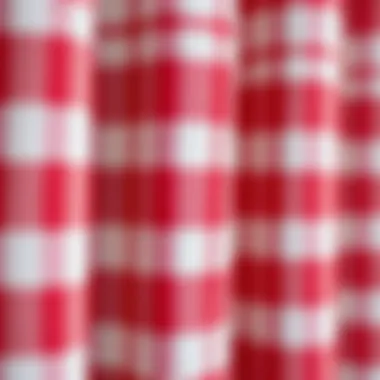 Intricate Buffalo Check Pattern Close-up of the intricate pattern of buffalo check fabric