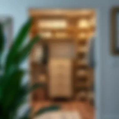 Efficient Organization in an Entrance Closet Organized entrance closet showcasing effective storage solutions