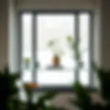 Stylish glass window shelf displaying decorative plants and books