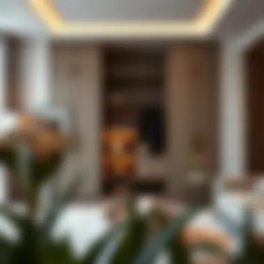 Elegant walk-in cupboard integrated into contemporary interior