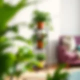 Elegant Plant Display Elegant three-tier plant stand showcasing vibrant greenery