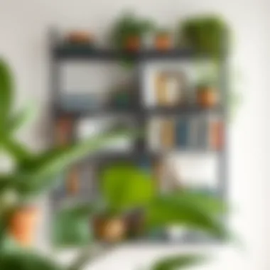 Organized Metal Bookshelf with Greenery A beautifully organized wall mounted metal bookshelf filled with books and plants