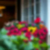 Elegant large flower box planter with vibrant flowers