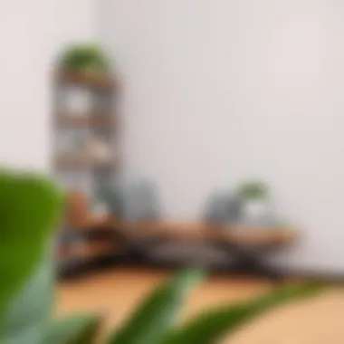 Innovative Corner Shelf Arrangement Creative corner shelf with decorative items