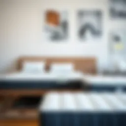 Different sofa bed mattresses displayed