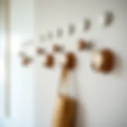 Suction cup hooks elegantly displayed on a modern wall