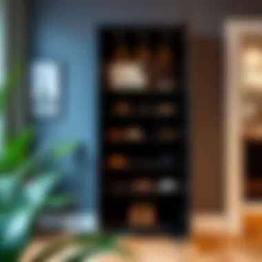 Contemporary shoe cabinet with elegant design