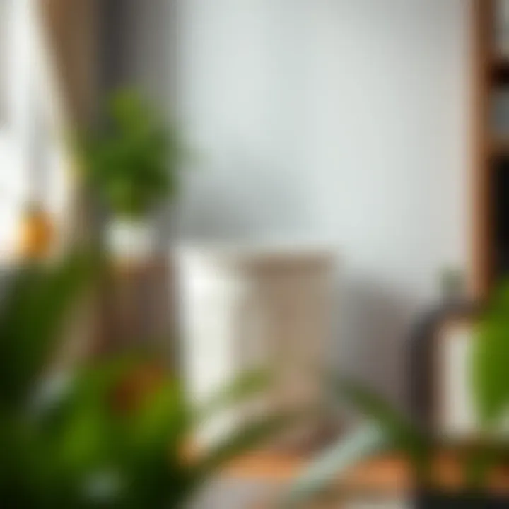 Trash bin maintenance tips and best practices