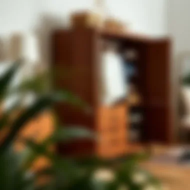 Efficient Organization with Long Clothes Dresser Long clothes dresser showcasing organization and functionality