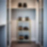 Elegant wire shoe rack displayed in a modern closet