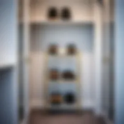 Elegant wire shoe rack displayed in a modern closet