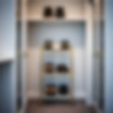 Elegant Wire Shoe Rack in Modern Closet Elegant wire shoe rack displayed in a modern closet