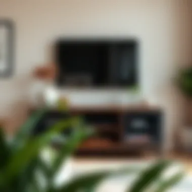 Aesthetic TV Stand Arrangement Aesthetic arrangement of a two-foot high TV stand with decor elements