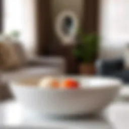 Elegant small storage bowl displaying modern design