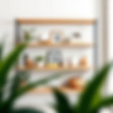 Open shelving showcasing decorative items and books