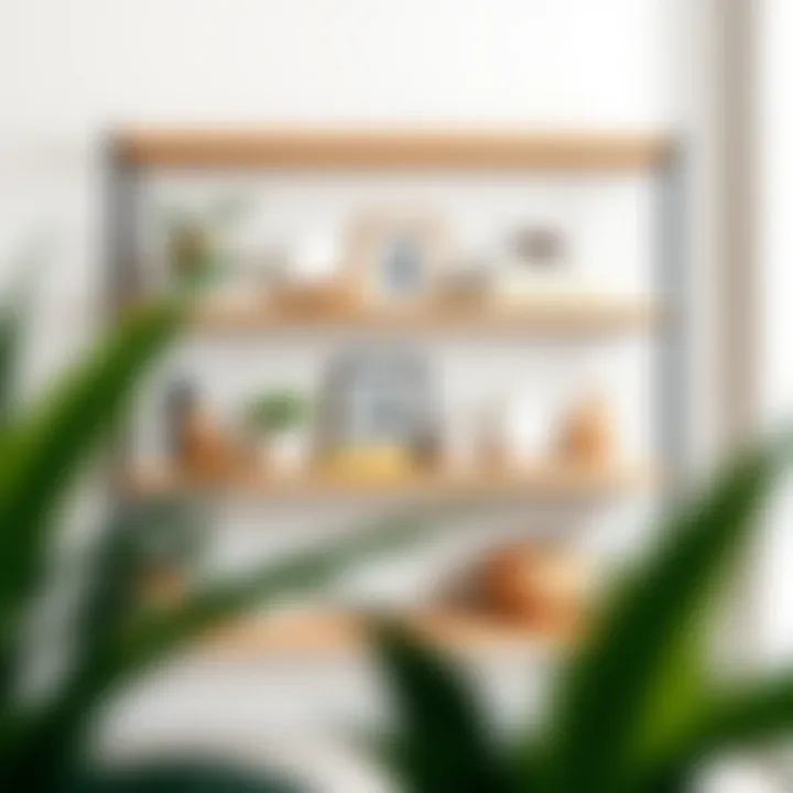 Open shelving showcasing decorative items and books