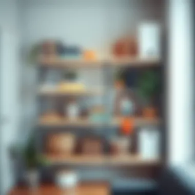 Creative organization with utility shelves in a small apartment