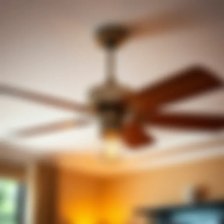 Variety of ceiling fan designs suited for different aesthetics